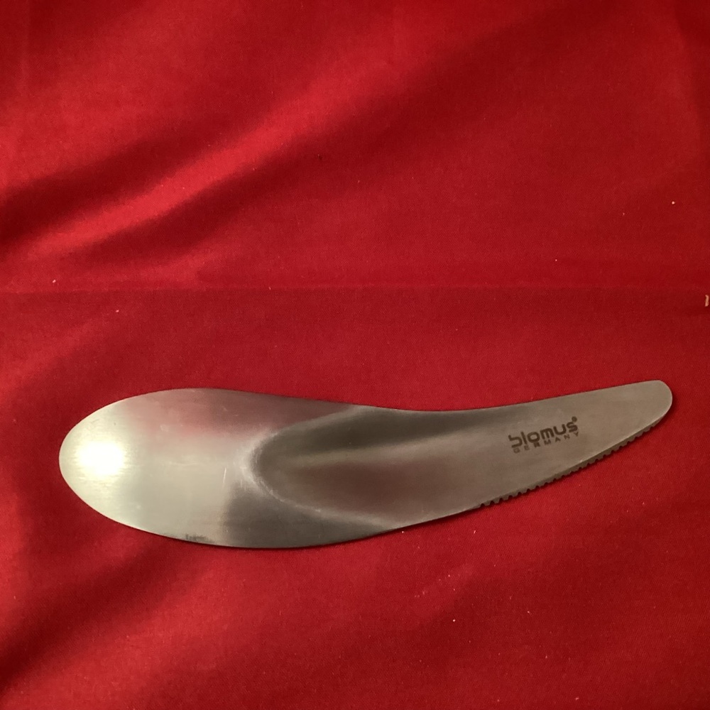 Blomus kiwi stainless steel spoon